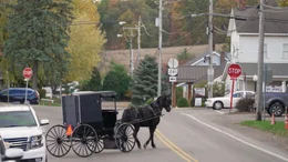 In den amerikanischen St&auml;dten fallen die Amish mit ihren Kutschen als Exoten auf. Sie sind jedoch von der Gesellschaft vollends akzeptiert.