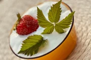 Joghurt aus Schafsmilch mit Erdbeeren