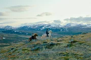 Reiter im Dovrefjell