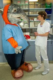 TanzTapir wird von der Oberschwester in seine Aufgaben eingewiesen. TanzTapir wird von der Oberschwester in seine Aufgaben eingewiesen.