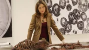 Brennan (Emily Deschanel) war eigentlich gerade dabei, ein 1.500 Jahre altes Skelett, das noch gut erhalten ist, als Krieger aus der Eisenzeit zu authentifizieren, als das FBI in Los Angeles ihre Hilfe braucht, um die Körperteile einer Frau zu identifizieren... Brennan (Emily Deschanel) war eigentlich gerade dabei, ein 1.500 Jahre altes Skelett, das noch gut erhalten ist, als Krieger aus der Eisenzeit zu authentifizieren, als das FBI in Los Angeles ihre Hilfe braucht, um die Körperteile einer Frau zu identifizieren...