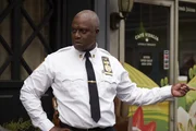 Captain Ray Holt (Andr&eacute; Braugher)