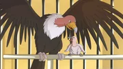 Dank Lassie, Zoe und Harvey sind das Kondorbaby und seine Mutter wieder vereint. Dank Lassie, Zoe und Harvey sind das Kondorbaby und seine Mutter wieder vereint.