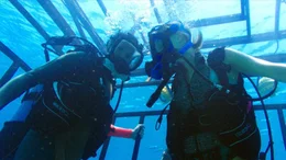 Lisa und Kate (Mandy Moore; Claire Holt) machen eine Tauchfahrt in einem Haik&auml;fig. Doch der Unterwasser-Trip wird zum ultimativen Alptraum, als das Sicherungsseil rei&szlig;t und der K&auml;fig 47 Meter in die Tiefe rauscht...