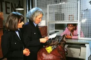 Jutta Adler (Claudia Loerding, li.) und Birgit Schnoor (Uta Prelle, Mi.) nehmen "die Neue", Mona Suttner (Anja Beatrice Kaul), in Empfang.