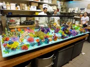 Aquarium Cake and Baby Shower Cake. The finished (sans the live fish) Aquarium cake (pictured: Buddy, Remy Gonzalez, Elizabeth Baez).