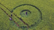 Auch wenn sie oft mit UFO-Landungen in Verbindung gebracht werden, k&ouml;nnen Kornkreise auch leicht von Menschenhand erstellt werden ...
