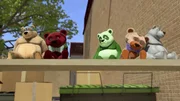 Diese Teddysammlung kommt den Power Players bekannt vor! Diese Teddysammlung kommt den Power Players bekannt vor!