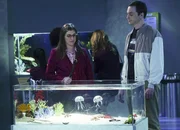 Es ist Thanksgiving. Sheldon (Jim Parsons, r.) und Amy (Mayim Bialik, l.) treffen sich als Freunde zum Mittagessen im Aquarium, w&auml;hrend die anderen in einer Suppenk&uuml;che aushelfen ...