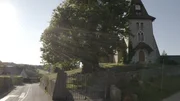 Die Linde. Die Linde.