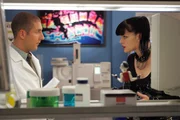 Abby (Pauley Perrette, r.) ist überzeugt, dass Tony kein Mörder ist und versucht dies zu beweisen. Charles (Michael Bellisario, l.) dagegen kommt ihr etwas dubios vor ... Abby (Pauley Perrette, r.) ist überzeugt, dass Tony kein Mörder ist und versucht dies zu beweisen. Charles (Michael Bellisario, l.) dagegen kommt ihr etwas dubios vor ...