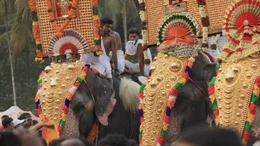 Farbenfrohe Elefantenparade: Das Thrissur Puram-Fest steht ganz im Zeichen der Dickh&auml;uter.