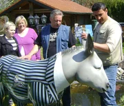 Die Tochter und die Ehefrau verzweifeln allm&auml;hlich an der Sammelwut von Thomas. Jetzt soll Tr&ouml;delexperte S&uuml;kr&uuml; helfen..