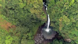 &Uuml;ppige Natur zwischen zwei Ozeanen, das ist Costa Rica.