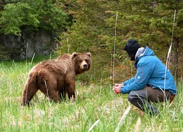 Seit 30 Jahren kommt Reno Sommerhalder nach Alaska: eine der b&auml;renreichsten Gegenden der Welt.