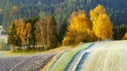 Herbstlandschaft.