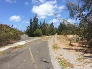 Verwilderte Stra&szlig;e