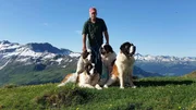 Toni Britschgi mit seinen Bernhardinerhunden am Wandern.