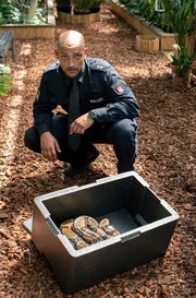 Schlangenphobie: Lukas Petersen (Patrick Abozen) wird unfreiwillig einer Konfrontationstherapie ausgesetzt.