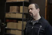 Ice-T as Odafin "Fin" Tutuola Ice-T as Odafin "Fin" Tutuola