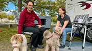 Ehepaar Pals aus Oldenburg züchtet Lagotto Romagnolos, italienische Trüffelhunde. Bei der Internationalen Rassehundeausstellung in Rostock wollen sie möglichst gute Bewertungen abstauben. Ehepaar Pals aus Oldenburg züchtet Lagotto Romagnolos, italienische Trüffelhunde. Bei der Internationalen Rassehundeausstellung in Rostock wollen sie möglichst gute Bewertungen abstauben.