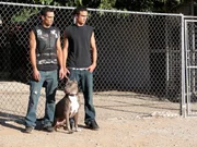 Suivez le quotidien mouvement&eacute; de Tia Torres qui, aid&eacute;e de sa famille et d'anciens condamn&eacute;s lib&eacute;r&eacute;s sur parole, s'occupe d'un refuge pour pitbulls abandonn&eacute;s. Son centre d'accueil compte environ 200 pitbulls qu'il faut aider, soigner et dresser. Tia est une femme engag&eacute;e qui lutte &eacute;galement pour la r&eacute;insertion des anciens condamn&eacute;s. Rejet&eacute;s par la soci&eacute;t&eacute;, provoquant la m&eacute;fiance des passants, elle leur a trouv&eacute; de nombreux points communs avec le sort r&eacute;serv&eacute; aux pitbulls, r&eacute;put&eacute;s mena&ccedil;ants. Elle s'est donc donn&eacute;e une mission, les faire travailler ensemble vers un but commun : la r&eacute;insertion.