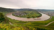 Die MS Alena f&auml;hrt durch die Moselschleife.