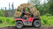 Matt Raney transportiert Heuballen mit einem Allradfahrzeug von einer Seite der 40 zur anderen. Matt Raney transportiert Heuballen mit einem Allradfahrzeug von einer Seite der 40 zur anderen.