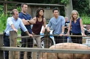 M&uuml;ssen den Mord an einen Wirtschaftsprofessor der Universit&auml;t aufkl&auml;ren: (v.l.n.r.) Danny (Scott Caan), Steve (Alex O'Loughlin), Kono (Grace Park), Chin (Daniel Dae Kim) und Abby Dunn (Julie Benz) ...