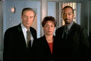 L-R: Lennie Briscoe (Jerry Orbach), Anita Van Buren (S. Epatha Merkerson), Ed Green (Jesse L. Martin)