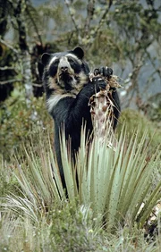 (Erstausstrahlung ARTE: 22.02.2012) (Erstausstrahlung ARTE: 22.02.2012)