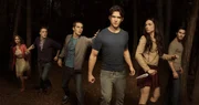 2. Staffel: Teen Wolf 2. Staffel: Teen Wolf