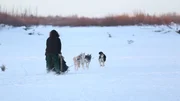 Tyler Selden running the dogsled team. Tyler Selden running the dogsled team.