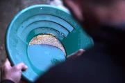 Kris Kelly holds a nice pan of gold.