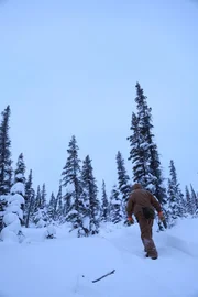 Scott Nelson walking on trapline.