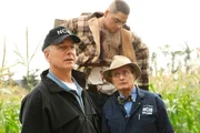 Zwei kleine Jungen finden in einem Maisfeld die Leiche eines Marine Corporals. Gibbs (Mark Harmon, l.) und Ducky (David McCallum, r.) beginnen mit den Ermittlungen ...