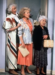L-R: Dorothy Zbornak, Rose Nylund, Sophia Petrillo. L-R: Dorothy Zbornak, Rose Nylund, Sophia Petrillo.