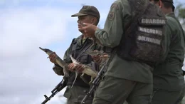 Soldaten helfen bei der Freilassung junger Orinoco-Krokodile, um den gesch&uuml;tzten Tieren einen optimalen Start in die Freiheit zu erm&ouml;glichen.