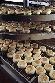 Bakery producing English muffins, elevated view