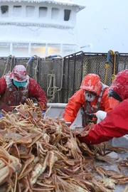 It's the deadliest job on earth: crab fishing off the Alaska coast on the icy Bering Sea, home of the most violent waters on earth. During the five-day season, a handful of adventurers will battle Arctic weather, brutal waves, and a ticking clock for a chance at big money in this modern day gold rush.