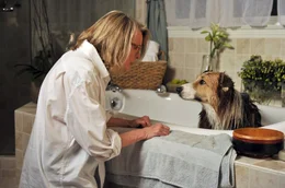 Beth (Diane Keaton) k&uuml;mmert sich liebevoll um ihren neuen Hund namens Freeway.