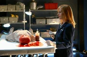 Marg Helgenberger (Catherine Willows). Marg Helgenberger (Catherine Willows).