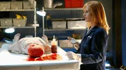 Catherine (Marg Helgenberger) pr&auml;pariert den Dummy, um den Mord an einem kleinen Jungen nachzustellen.