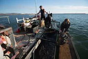 Zeke Tenhoff and Emily Riedel prepare for a day of dredging. Zeke Tenhoff and Emily Riedel prepare for a day of dredging.