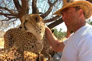 Axel aus Norwegen hat eine innige Beziehung zu den Geparden. Axel aus Norwegen hat eine innige Beziehung zu den Geparden.