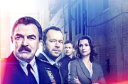 Frank Reagan (Tom Selleck), Danny Reagan (Donnie Wahlberg), Jamie Reagan (Will Estes), Erin Reagan-Boyle (Bridget Moynahan).