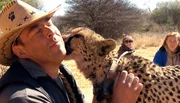 ARD/SWR DAS WAISENHAUS FÜR WILDE TIERE FOLGE 29, "Abenteuer Afrika", SWR Dokuserie mit 40 Folgen, deren Schauplatz die Tierrettungsstation "Harnas" am Rand der afrikanischen Kalahari-Wüste ist. Die Gepardandame Pride ist auch eine "Schmusekatze"! ARD/SWR DAS WAISENHAUS FÜR WILDE TIERE FOLGE 29, "Abenteuer Afrika", SWR Dokuserie mit 40 Folgen, deren Schauplatz die Tierrettungsstation "Harnas" am Rand der afrikanischen Kalahari-Wüste ist. Die Gepardandame Pride ist auch eine "Schmusekatze"!