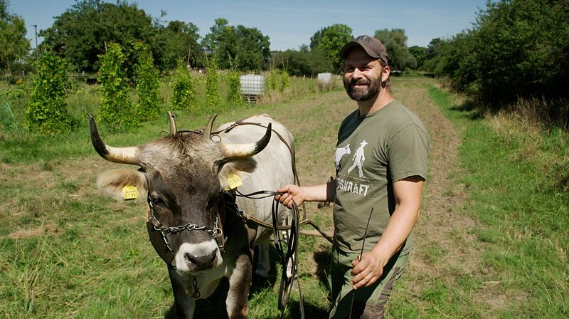 Kloster Lorsch - Tor zum frühen Mittelalter (D, 2026)