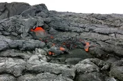 Bei ihrem Austritt ist die Lava des Kilauea etwa 1.100 Grad Celsius heiß. Bei ihrem Austritt ist die Lava des Kilauea etwa 1.100 Grad Celsius heiß.