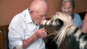 Ein K&uuml;sschen ist die beste Therapie. Miniaturpferd Eclipse kuschelt heute mit Bewohnern eines Seniorenzentrums.